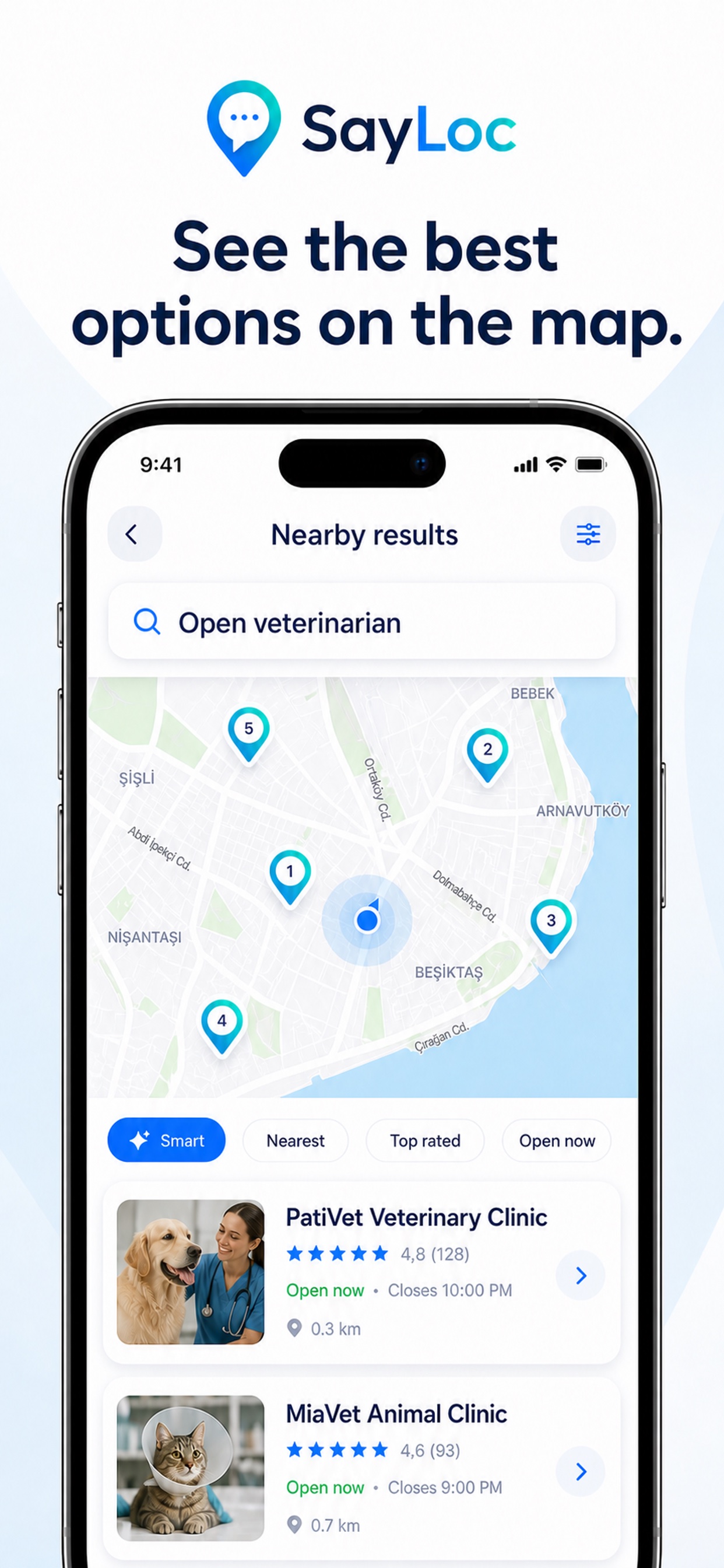 SayLoc results displayed on a map